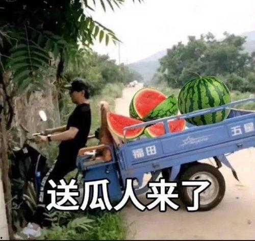 骑行圈吃瓜爆料最新内容,揭秘圈内惊人内幕！